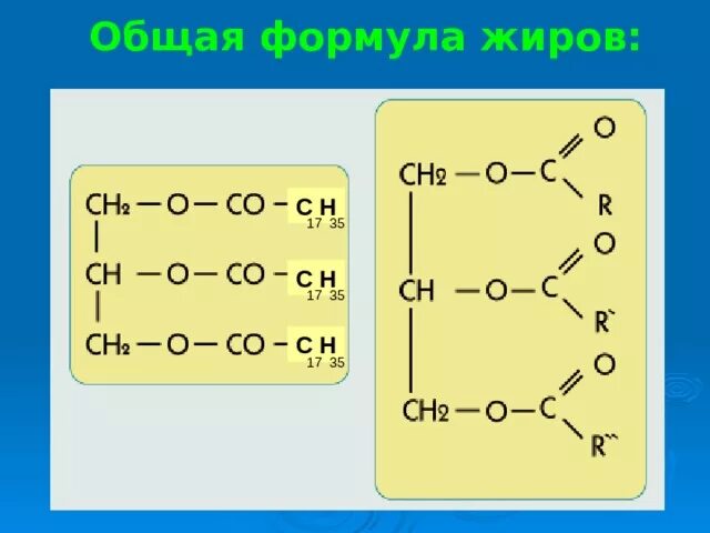 Общее название жиров. Формула жира в химии общая формула. Структурная формула жиров. Общая структурная формула жиров. Общая формула жиров cnh2n.