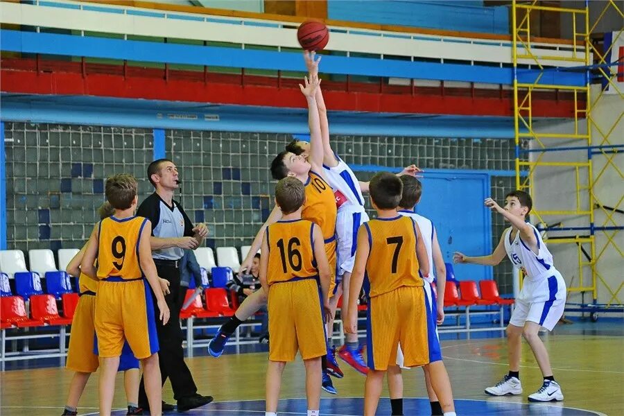 Волейбол баскетбол школе. Волейбол и баскетбол. детский баскетбол. баскетбол волейбол дети. футбол баскетбол волейбол.