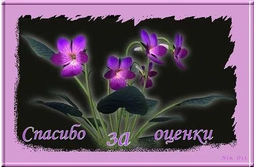 Открытка спасибо за оценку. Спасибо за оценки картинки. Спасибо большое за оценку. Благодарю за оценку. Спасибо большое за оценку.