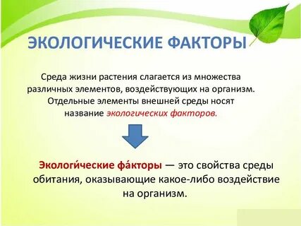Экологические факторы жизни человека