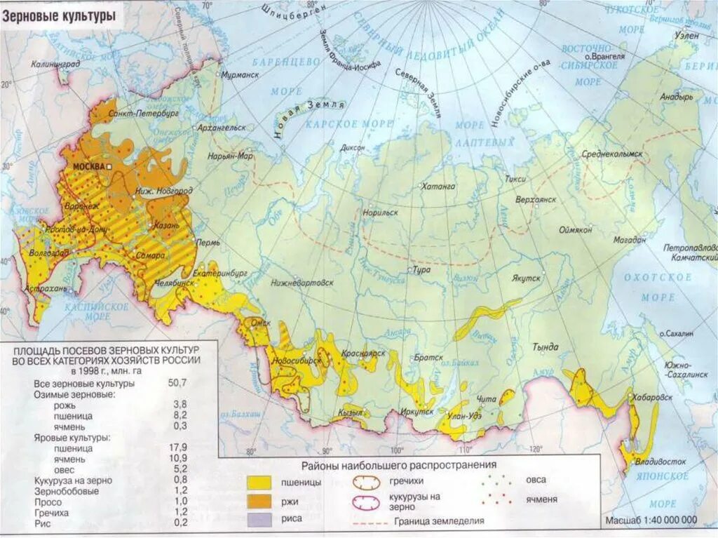 Районы выращивания на карте. Районы распространения пшеницы в России на карте. Районы распространения пшеницы в России. Основные районы производства зерновых культур в России. Распространение зерновых культур в России карта.