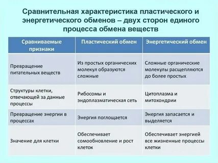 Какова взаимосвязь пластического и энергетического