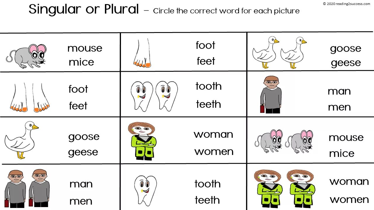 Foot mouse child man. Singular and plural Nouns исключения. Irregular plurals таблица. Singular and plural Nouns Irregular. Irregular plurals для детей.