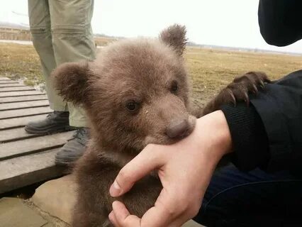 Совсем настоящий