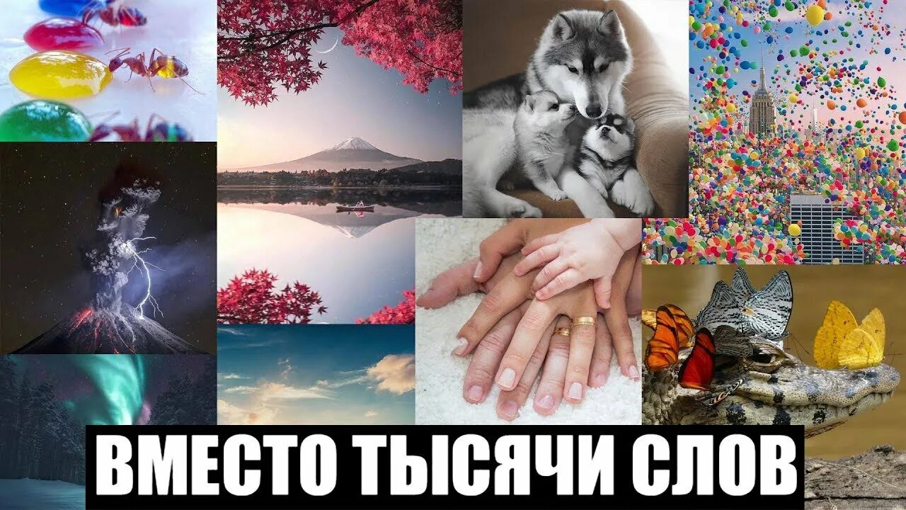 Вместо 1000 слов картинки. 21 тысяча словами. Вместо 1000 слов картинки. 21 тысяча словами. 21 тысяча словами.