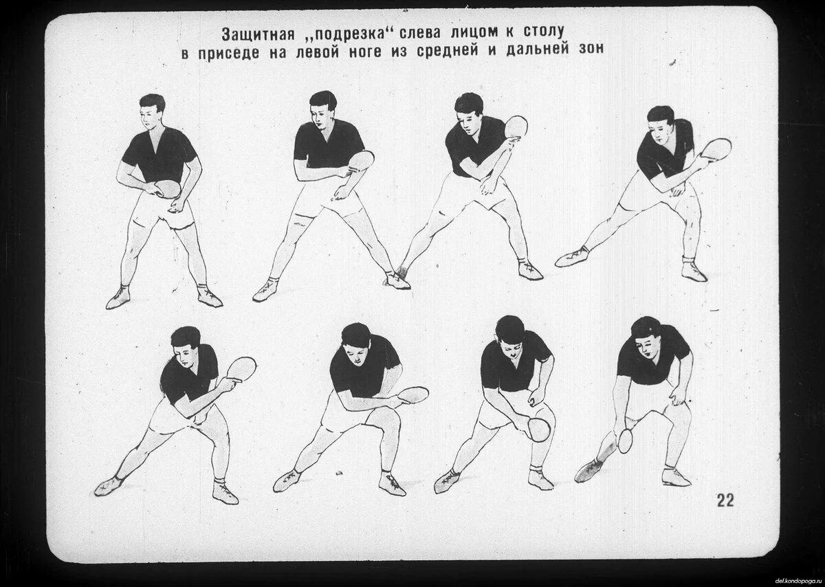 Настольный теннис уроки для начинающих. Удары в настольном теннисе. Техника ударов в настольном теннисе. Атакующие удары в настольном теннисе. Основные удары в настольном теннисе.