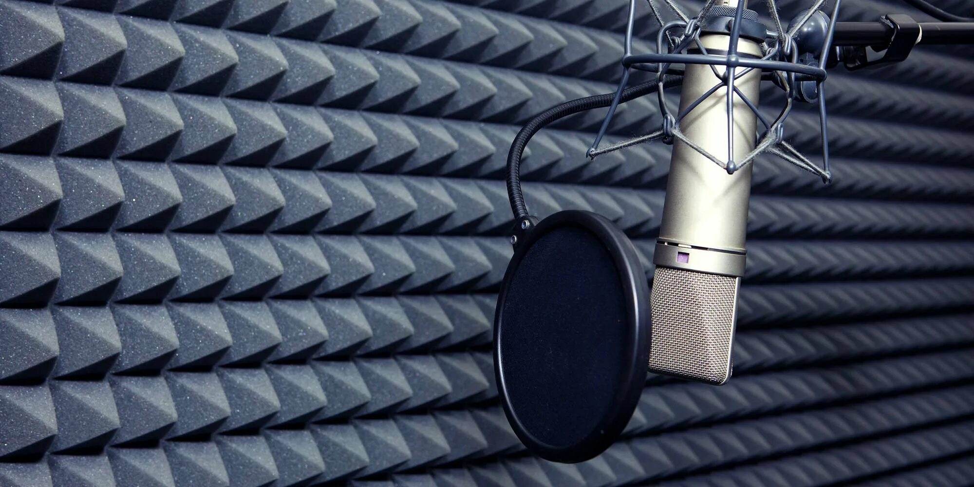 Sound closed. Микрофон в студии звукозаписи. Микрофон для звукозаписи. Студийный микрофон. Микрофон для записи голоса.