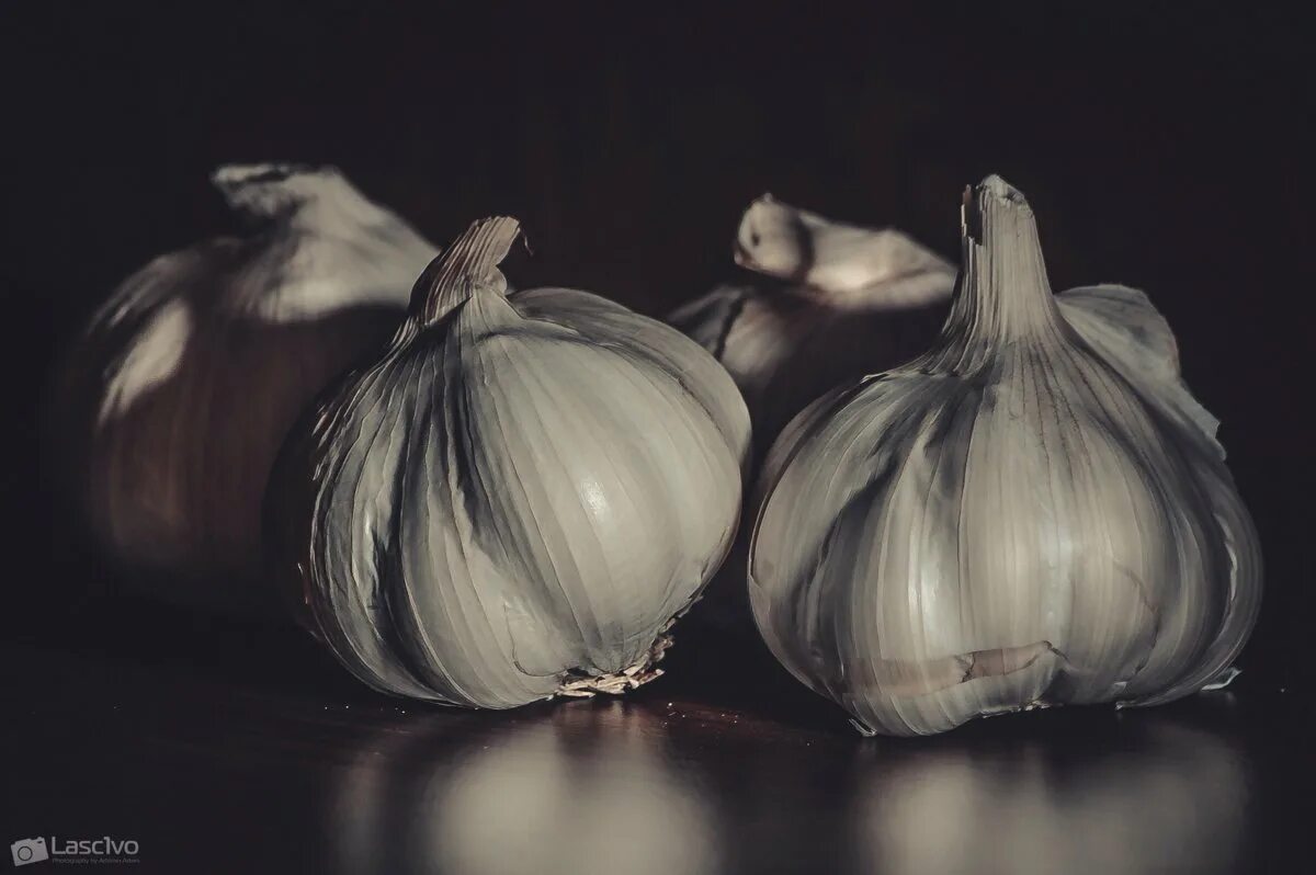 греческий чеснок. лук чеснок. чеснок картина. греческий чеснок. лук батун дикий.