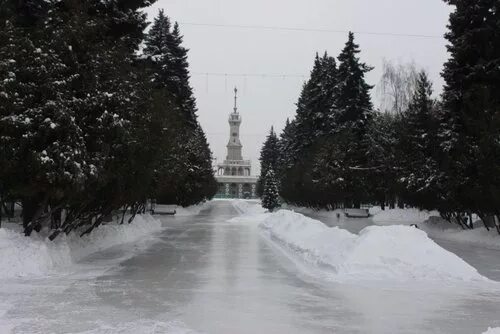 Речной парк каток. Каток в парке Северного речного вокзала. Каток Северный Речной вокзал. Каток в парке Северо речного воказала. Парк Северного речного вокзала зимой.