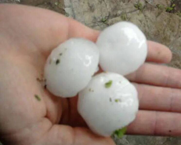 Интересные факты о граде. Сделай на 1 граду. Сделай на 1 граду. Урюпинск град июль 2022. Сообщение про град.