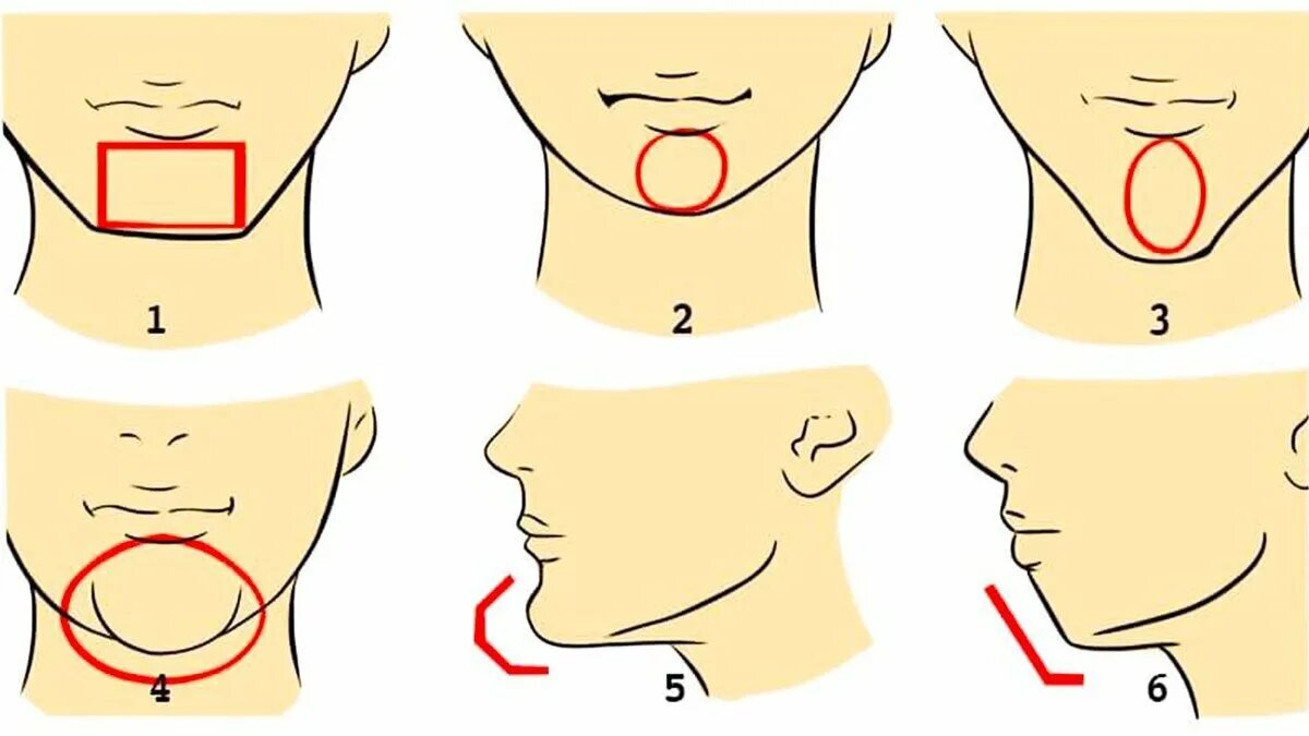 Мужчин характер подбородок. Типы подбородков. Форма подбородка. Типы подбородков у мужчин. Формы подбородка женщин.