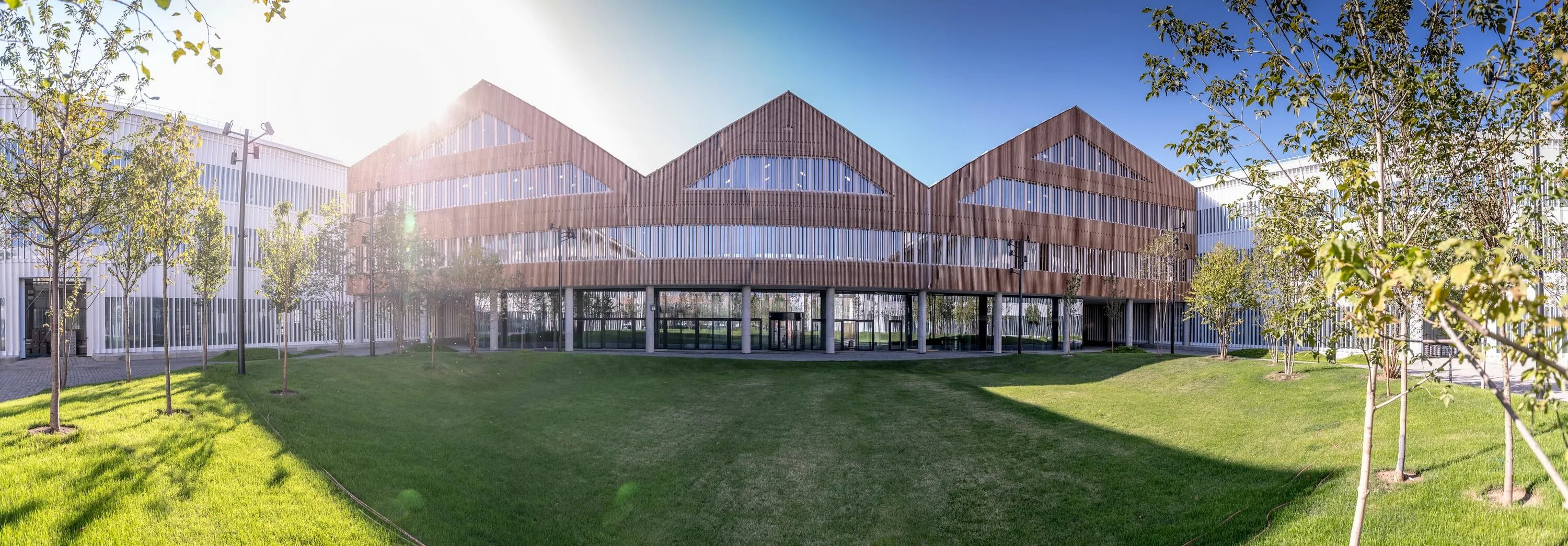 Kaist университет в корее. Мисис институт москва. Isenberg school of management business innovation hub. Институт нового поколения. Сколковский университет науки и технологий.