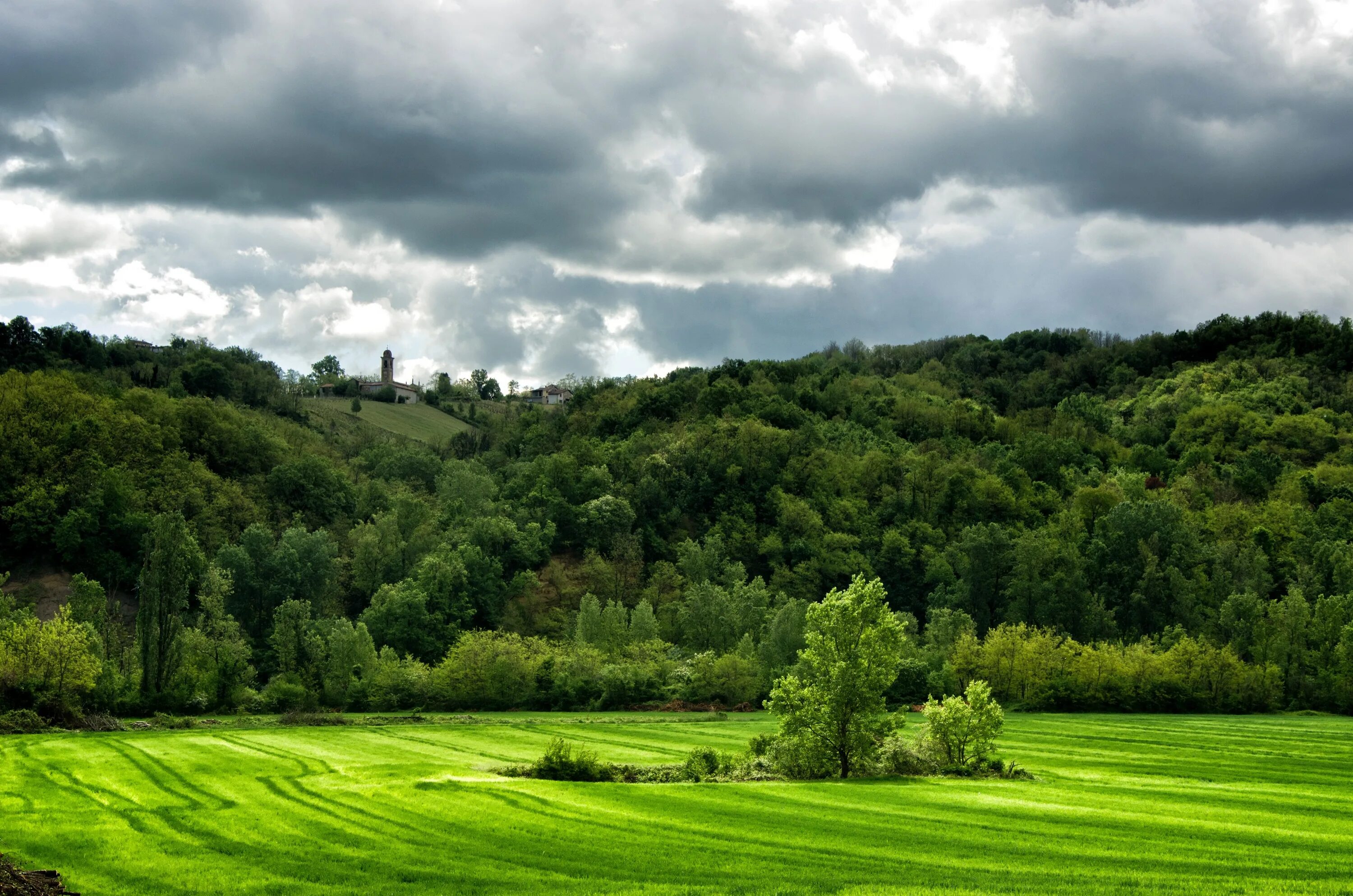 D field