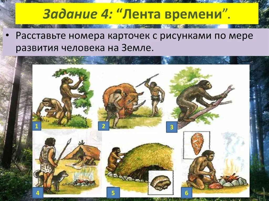 Как человек менял природу. Лента времени по биологии. лента времени развития человека. лента времени биология 5 класс. лента времени задание на а4.