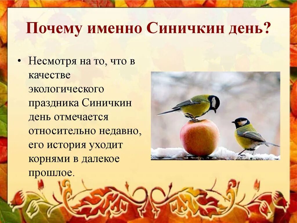 12 ноября день картинки. Синичкин день. День синички. Синичкин день презентация. Праздник Синичкин день.