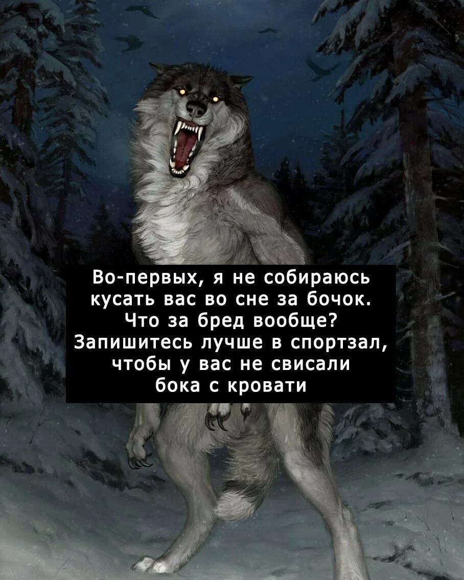 Почему говорят волк. Цитаты волка. Фразы Волков. Цитаты волка смешные. Смешные высказывания про Волков.