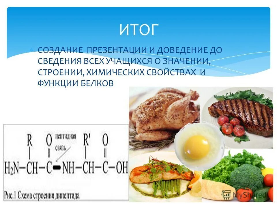 Презентация урока на тему: Белки-основа жизни
