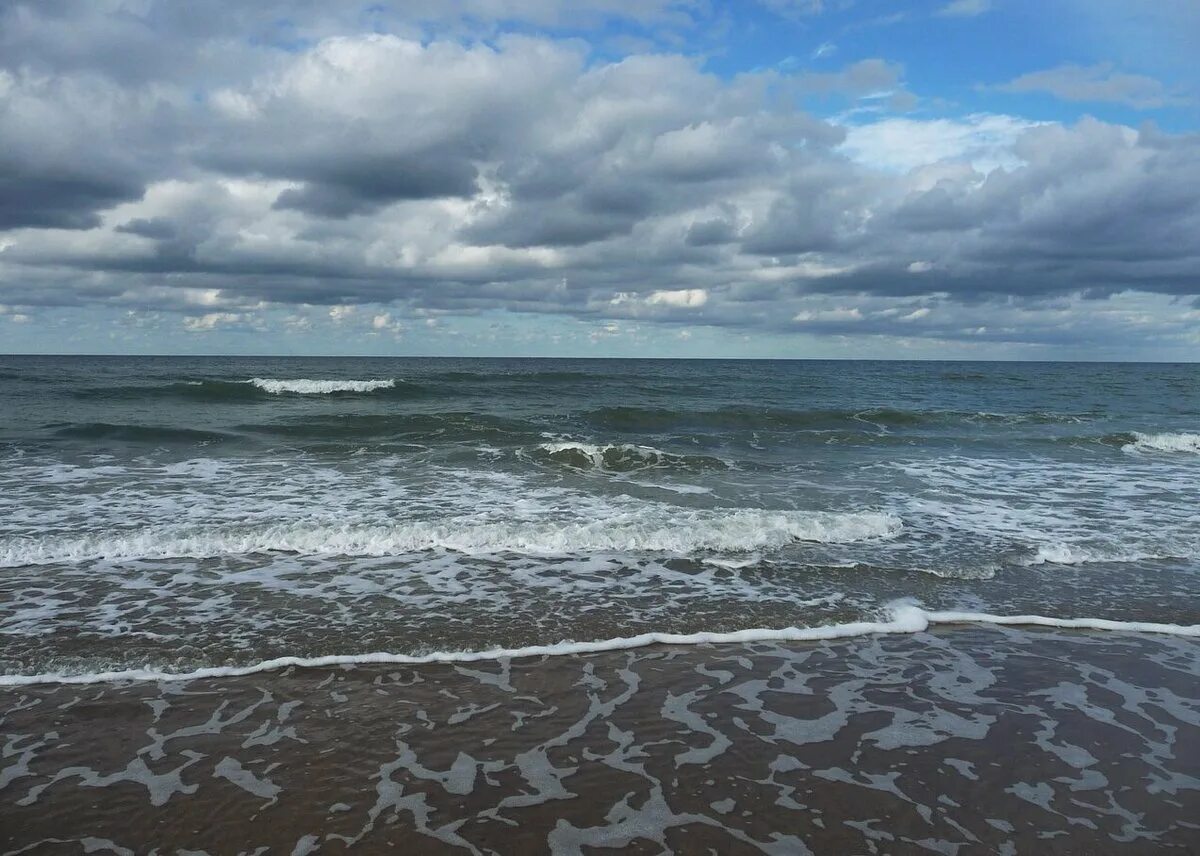 Северное море. Северное море пляж. Північне море. Берег Северного моря.