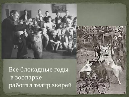 Животное пережившее блокаду