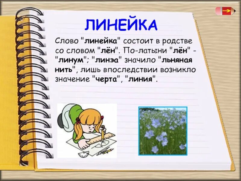 Происхождение слова линейка. Откуда произошло слово линейка. Линейка родственные слова. Со словом линейка. Линейка сколько значений