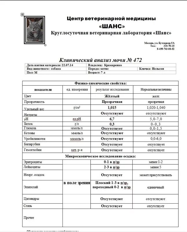 Расшифровка оам у взрослых. Физико-химический анализ мочи расшифровка. Физико-химические свойства мочи расшифровка. Анализ мочи расшифровка. Клинический анализ мочи расшифровка.