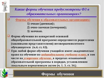 Какая форма обучения не установлена 273