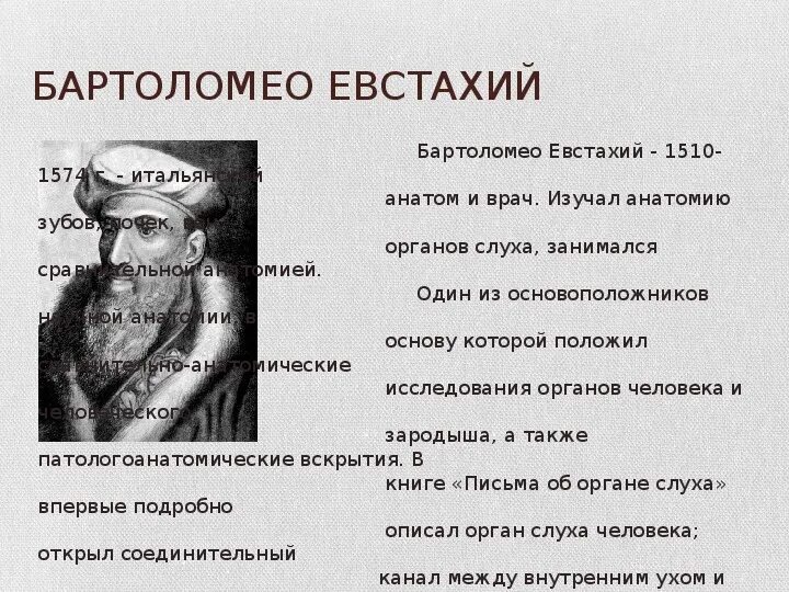 Евстахий. Бартоломео евстахий. бартоломео евстахий описал отделы. евстахий вклад в анатомию. евстахий вклад в медицину.