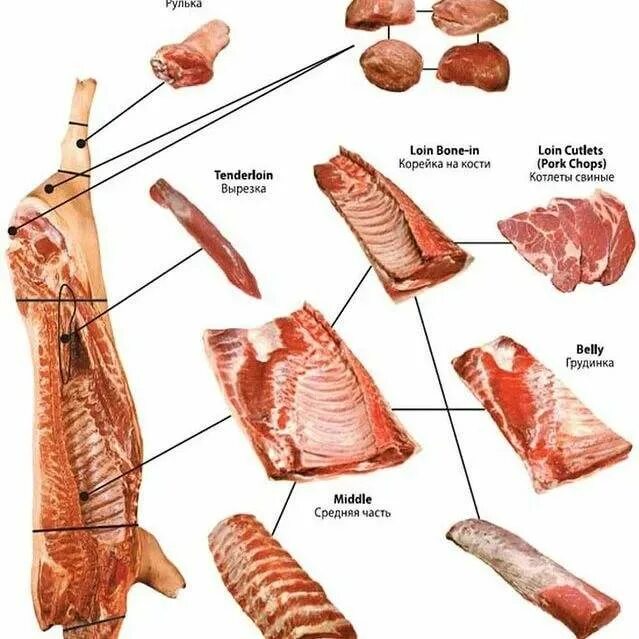 Свинья шея где находится. Корейка свиная часть туши. Части туши свиньи корейка. Часть туши корейка у свинины. Разруб свиной туши корейка.
