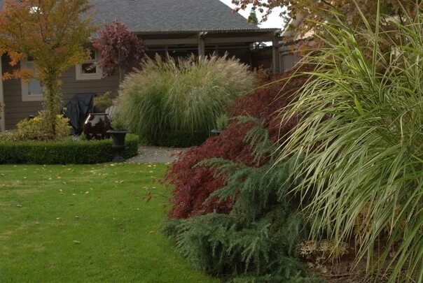 Findlinge und Ziergräser im Garten Minimalist garden, Ornamental grasses, Lakesi