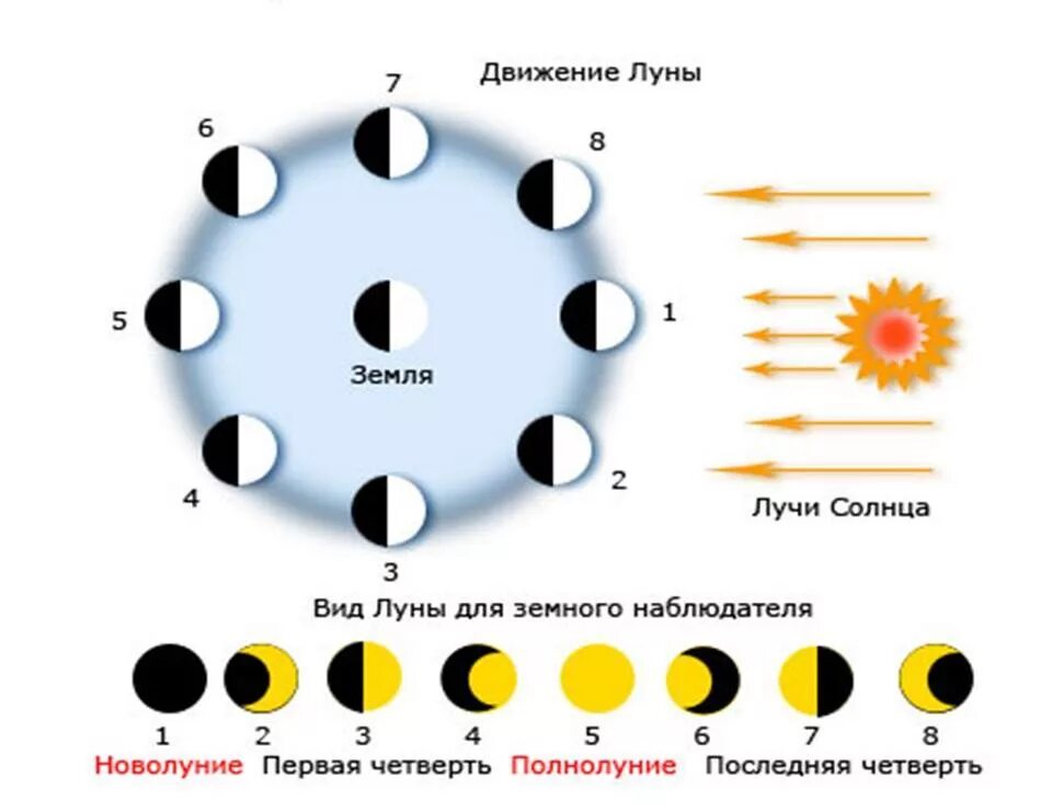 Луна в определенное время. Фазы Луны схема фаз. Циклы Луны схема. Схема изменения фаз Луны. Начертите схемы, поясняющие: а) смену фаз Луны;.