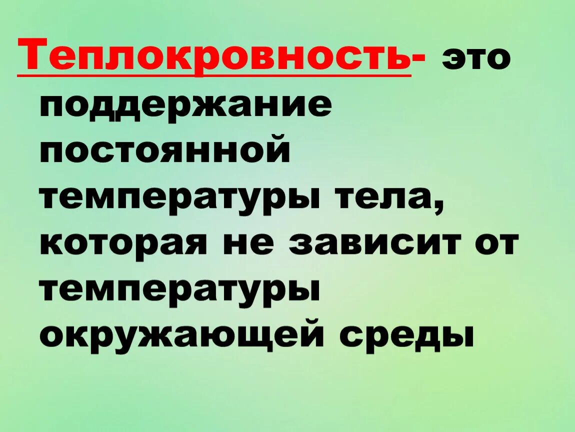 Пассивная теплокровность. Теплокровные млекопитающие. Характеристика холоднокровных животных. Теплокровность. Теплокровность тел.