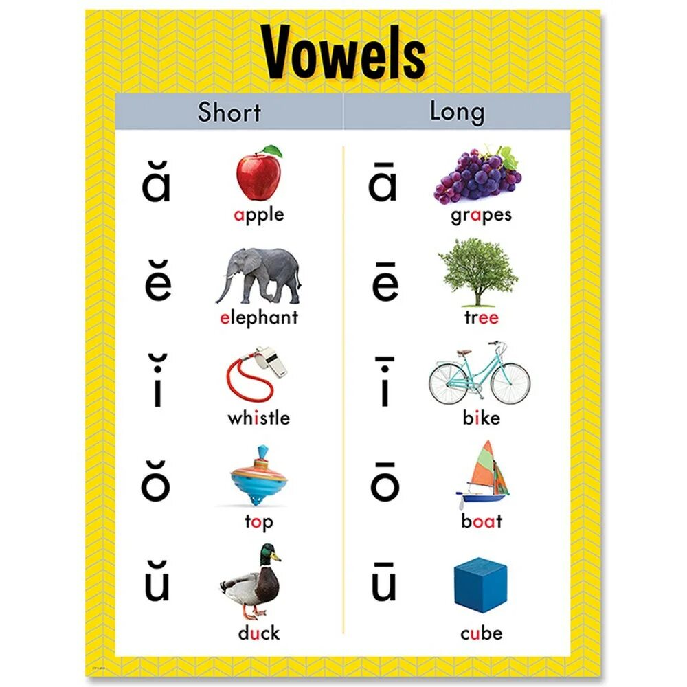 Short vowels