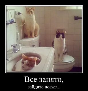 Зашла занять