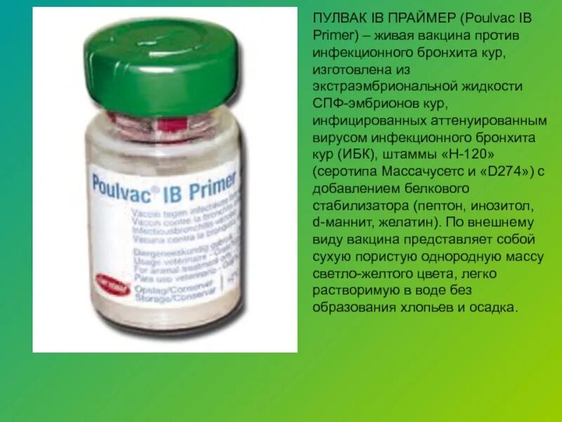 Пулвак IB праймер вакцина. Инфекционный бронхит кур вакцина. Инфекционный бронхит кур (ИБК). Вакцинация птиц против инфекционного бронхита.