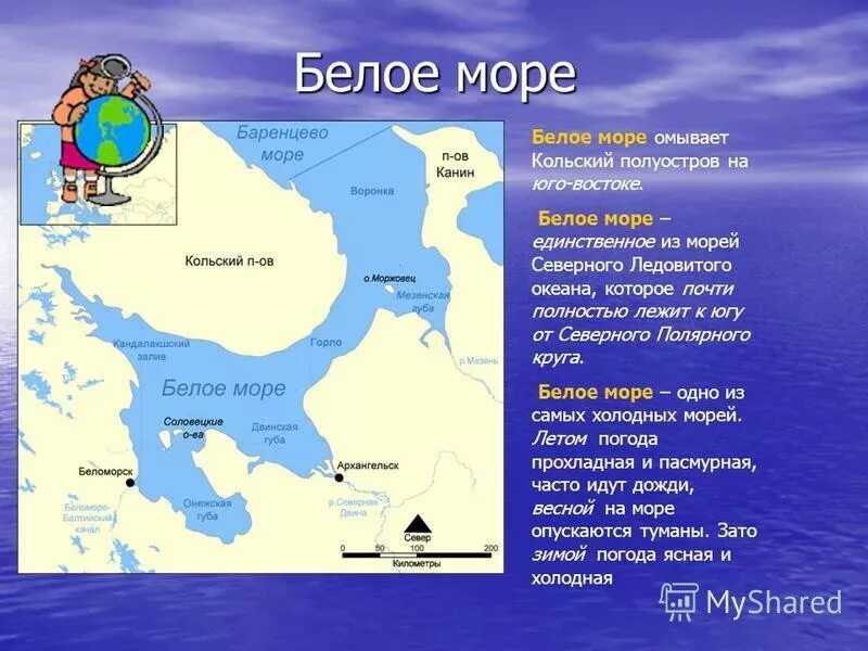 Океаны омывающие японию. Белое море омывает полуостров. Белое море географическое положение. Полуострова белого моря. Местонахождение белого моря.