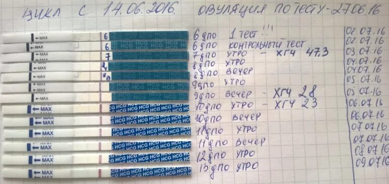 На какой день происходит имплантация после овуляции. Тест на беременность. Тесты на беременность по дням. ХГЧ тест на беременность. Тесты при ХГЧ.