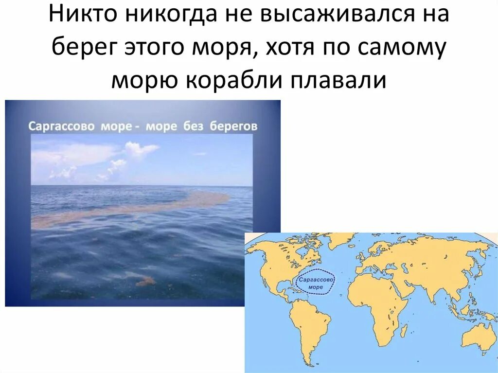 Саргассово какой океан. Саргассово море на карте. Саргассово море море без берегов. Саргассово море на Катре. Саргассово море на карте России.