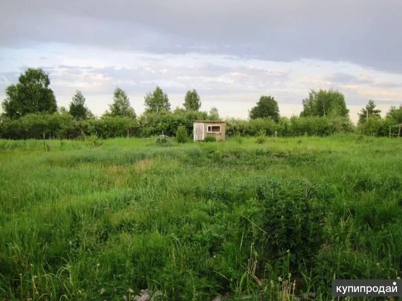 Березняки тюмень участки. Березняки тюмень участки. Проезд шахматный дом 42 фото город тюмень березняки. П березняковский тюмень. Проезд шахматный дом 42 фото город тюмень березняки.