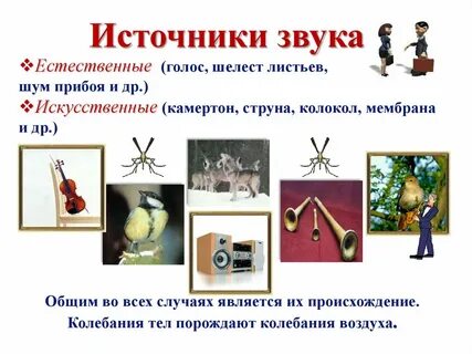 Найдите источник звука