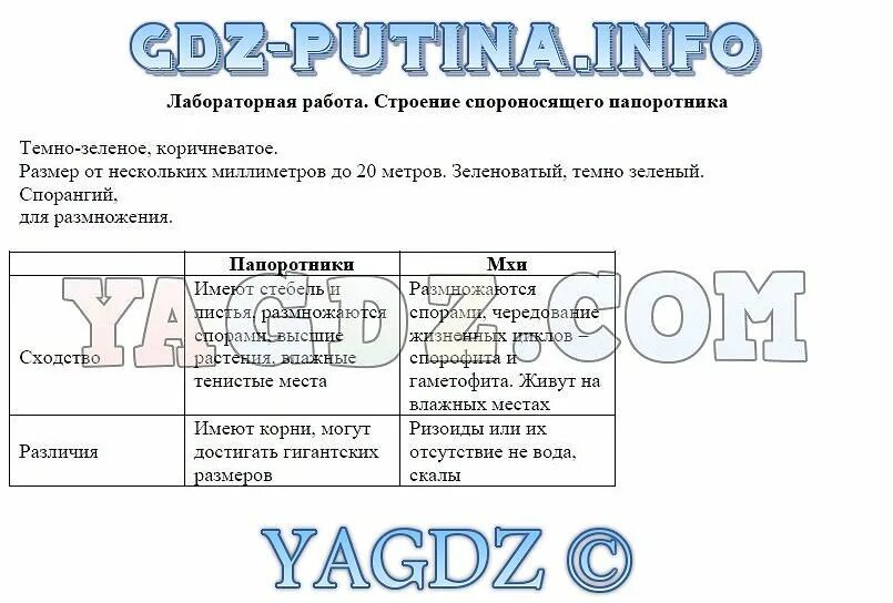 Моя лаборатория биология 5 класс параграф 18. Таблица к лабораторной работе 6 класс биология. Лабораторная работа по биологии. Практическая работа по биологии. Биология 5 класс лабораторная работа.