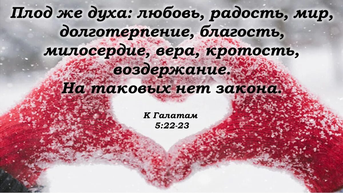 Любовь мир радость кротость воздержание. Плод же духа любовь радость мир долготерпение. Плод духа любовь радость мир долготерпение. Долготерпение. Плод духа кротость.