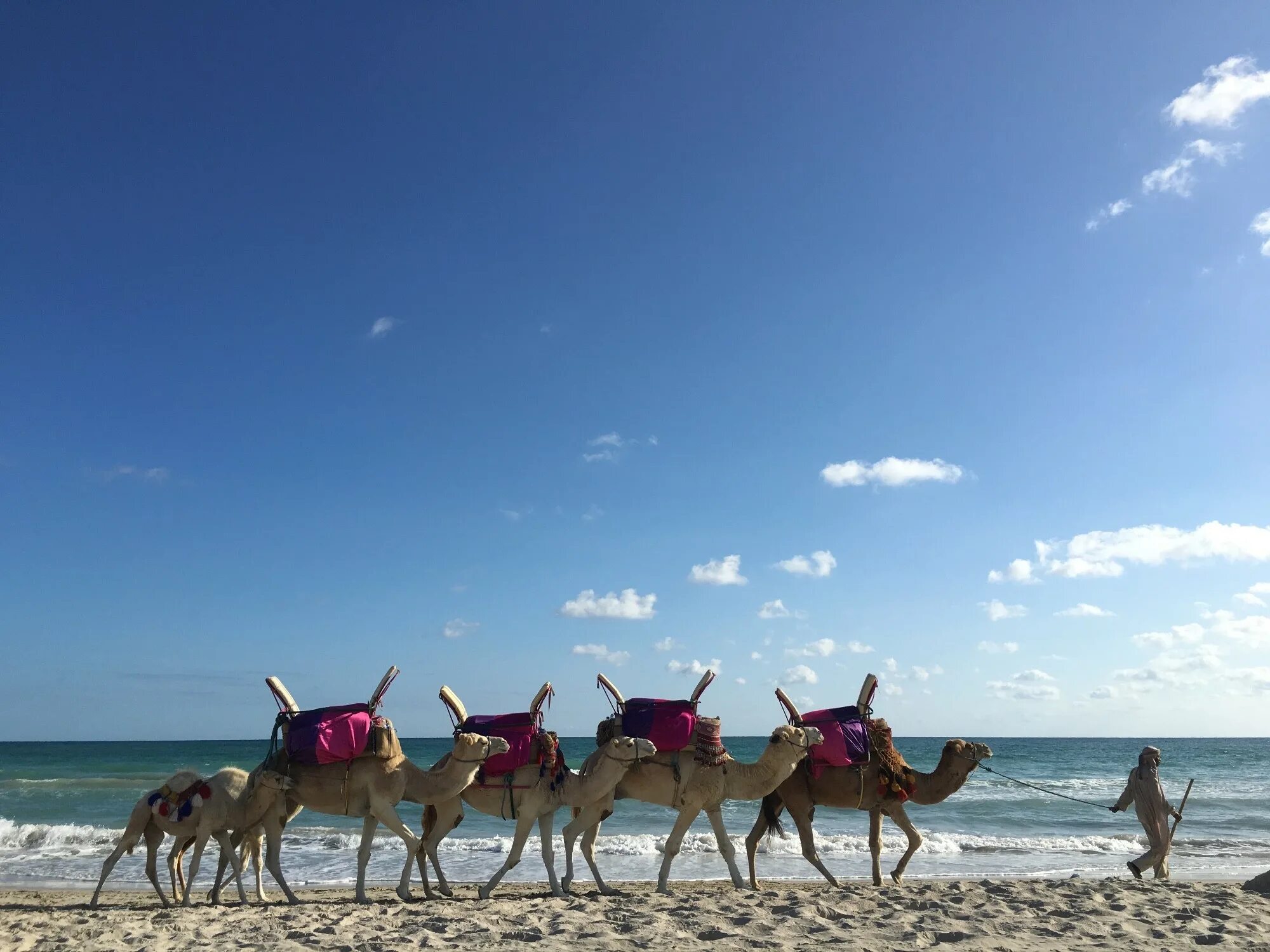 Тунис коллаж. Курорт сусс в тунисе. Топ трипс спб тунис. L'atrium 4*. Тунис туры петербург.