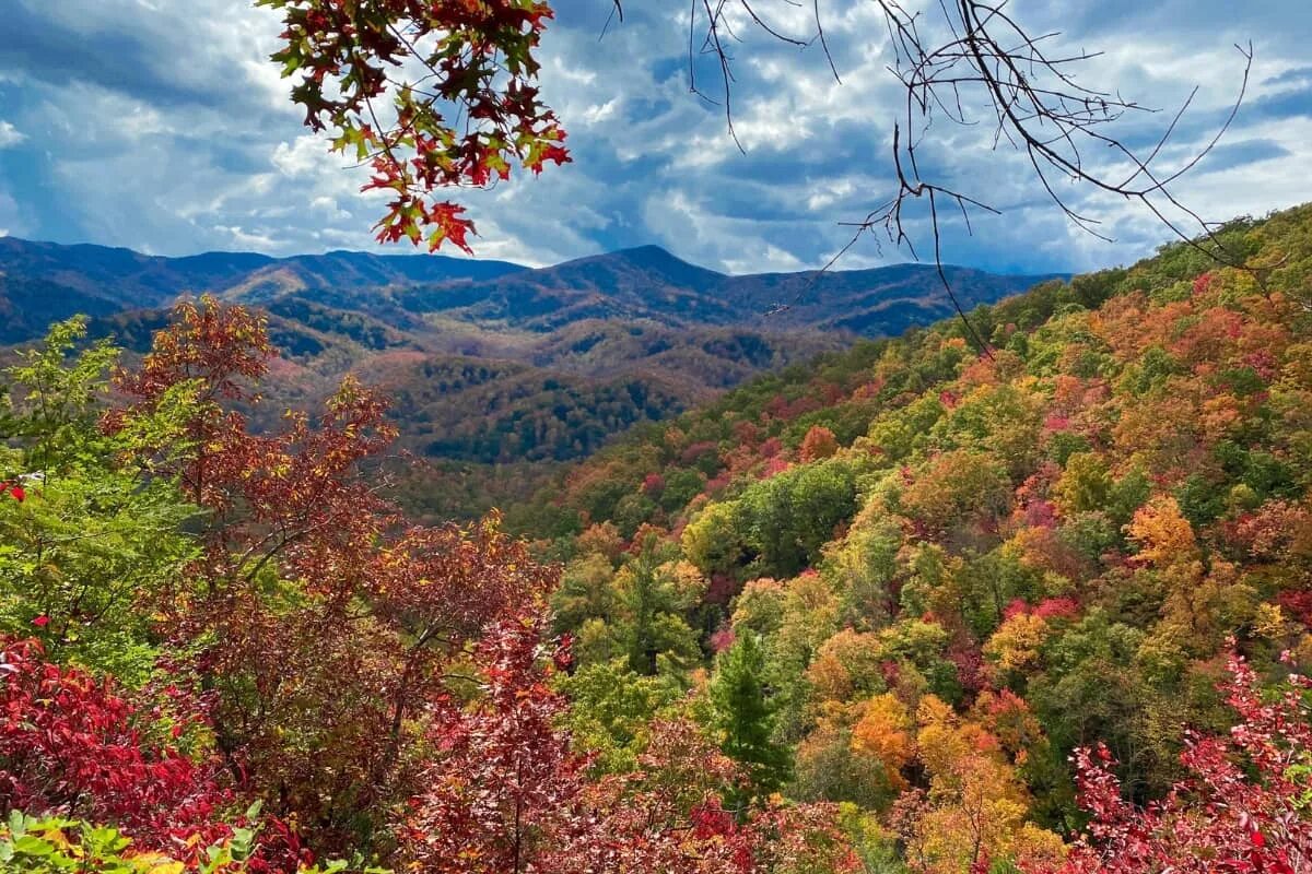 The great smoky. Грейт смоки маунтинс горы аппалачи. Smoky mountains. Грейт смоки маунтинс. The great smoky.