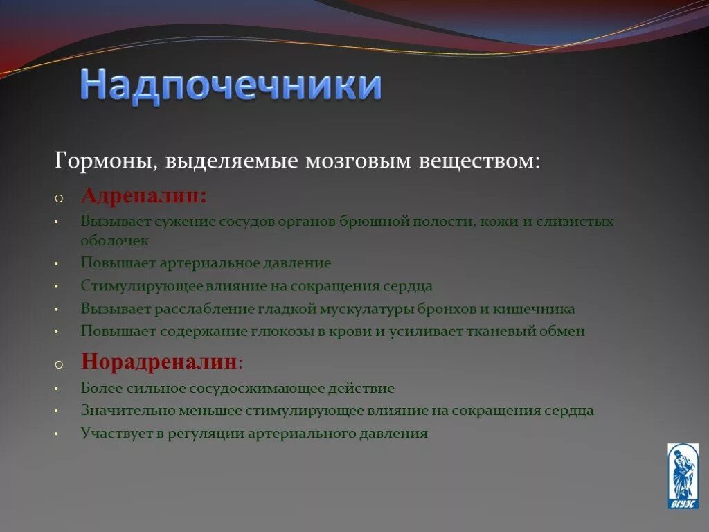 Адреналин сужение кровеносных