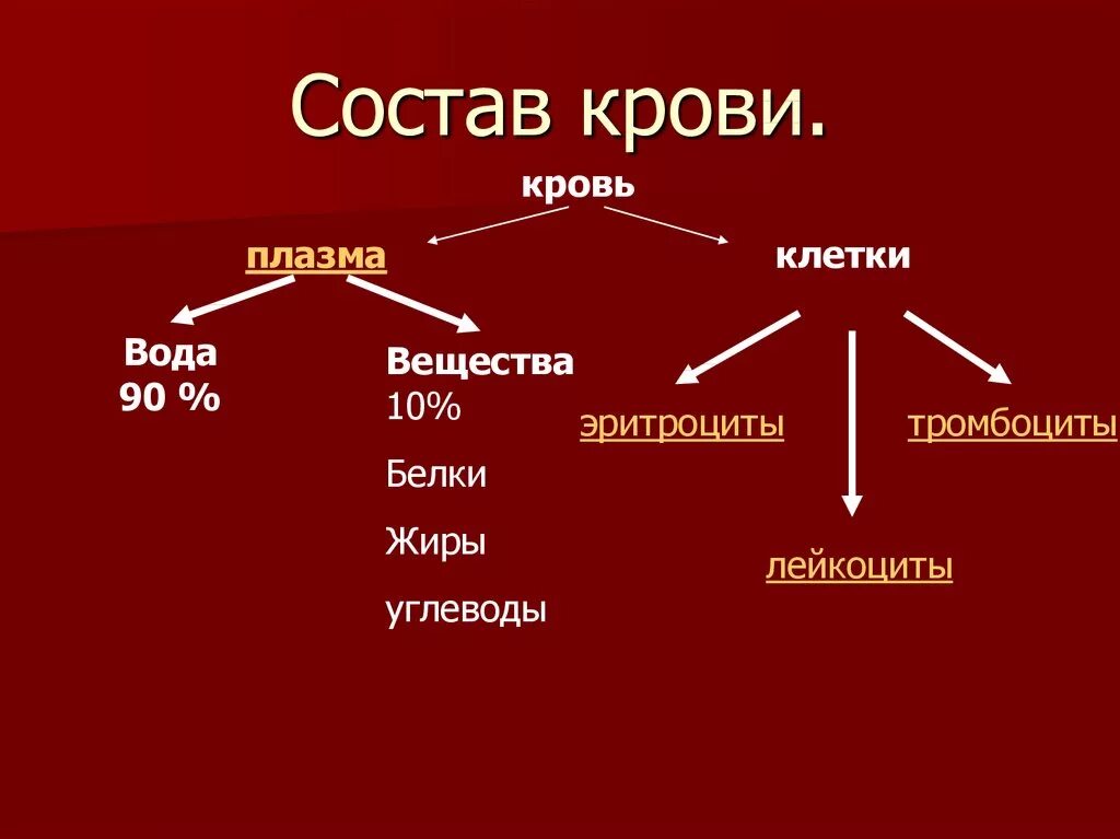 Форма плазмы крови