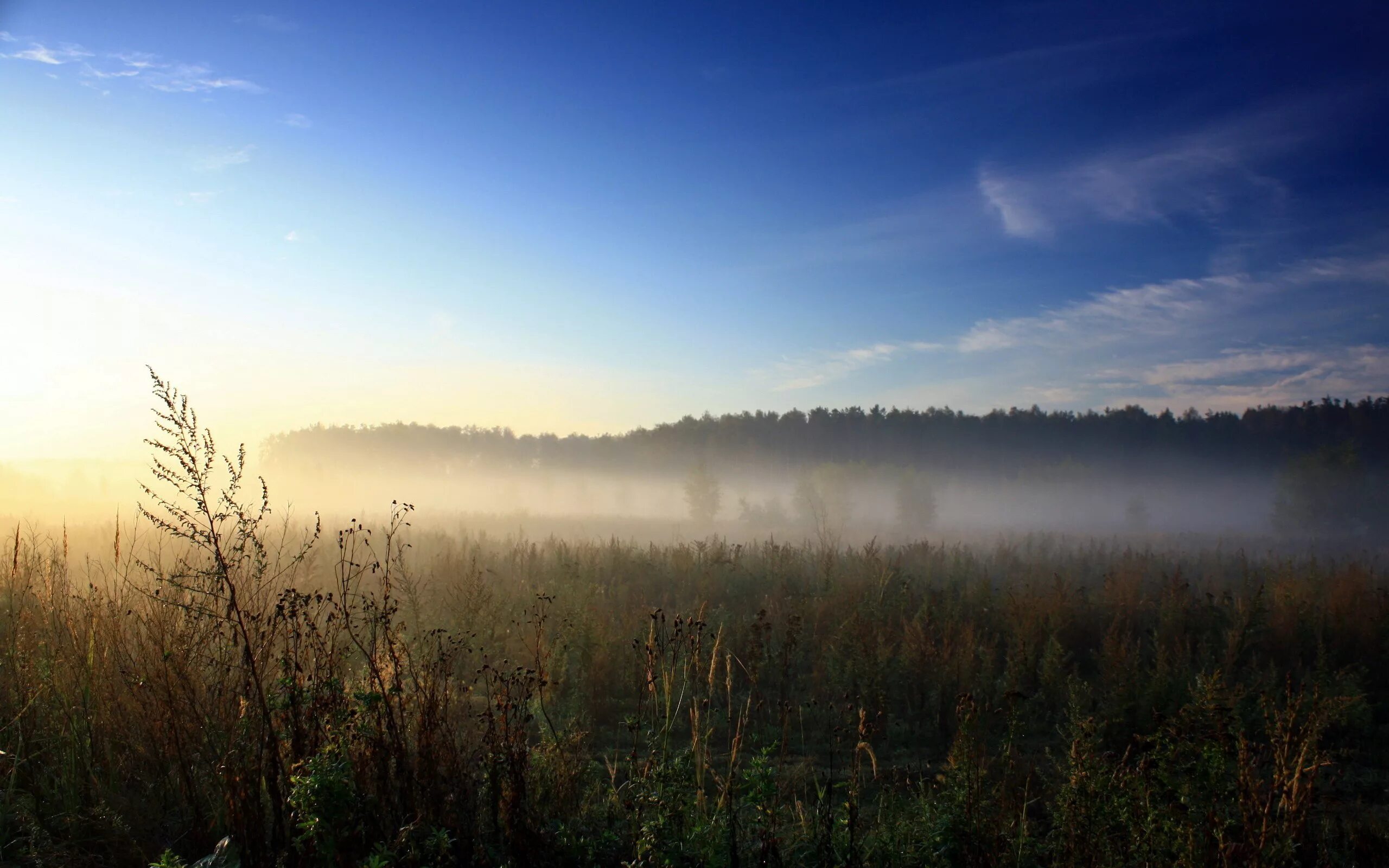 Утренний туман начинал слегка текст. Утренний туман. Предрассветный туман. Утренний пейзаж. Природа в дымке.