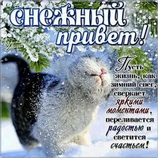 Июньский январский
