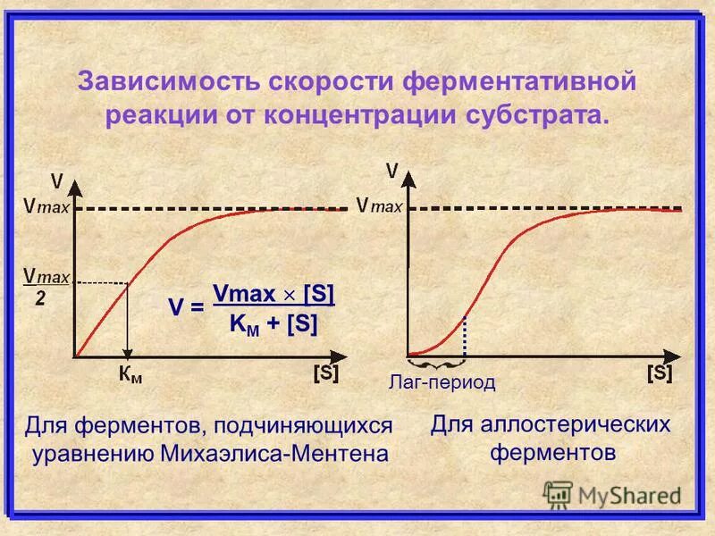 Зависимость скорости ферментативной реакции. График скорости ферментативной реакции от концентрации фермента. График активности фермента от концентрации субстрата. Зависимость скорости реакции от концентрации фермента.