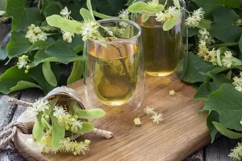 Цветки липы настой