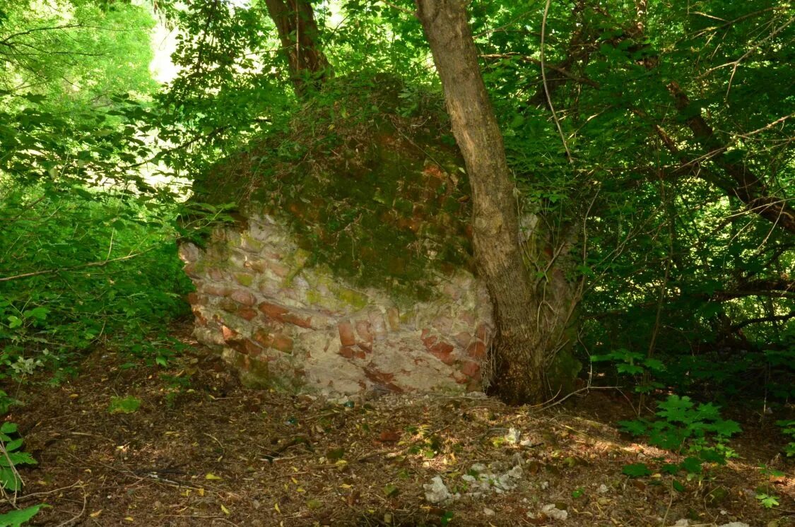 Погода речица брянская область жуковский. Погода речица брянская область жуковский. Погода речица брянская область жуковский. Речица жуковский район. Село речица брянская область.